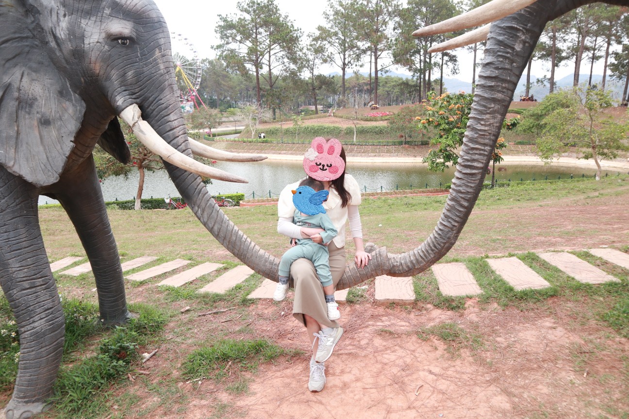 f:id:camonvietnam:20260405103930j:image