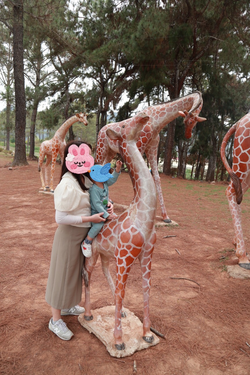 f:id:camonvietnam:20260405103933j:image