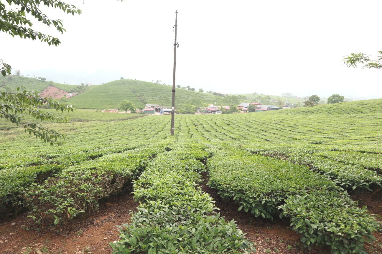 f:id:camonvietnam:20260405104245j:image