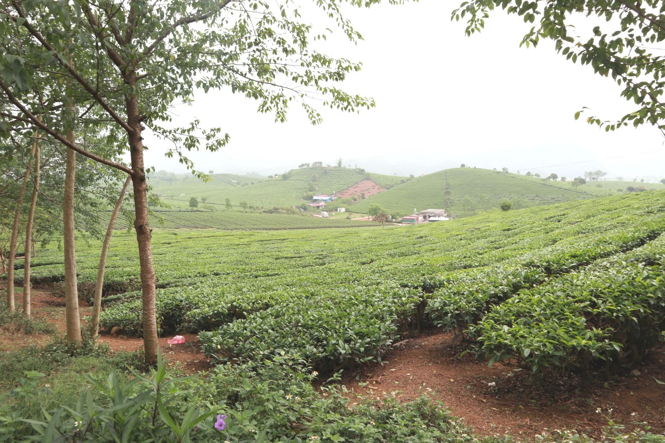 f:id:camonvietnam:20260405104246j:image