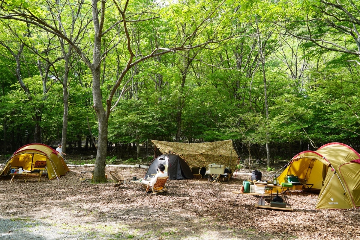 f:id:camp_worker:20210530202840j:plain