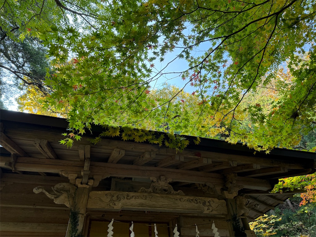 f:id:camper_bakkasu:20251030160051j:image f:id:camper_bakkasu:20251030160051j:image