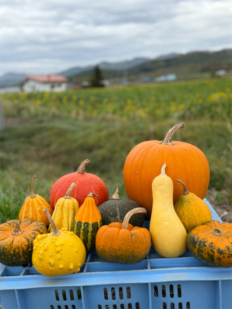 f:id:camper_bakkasu:20251031065637j:image