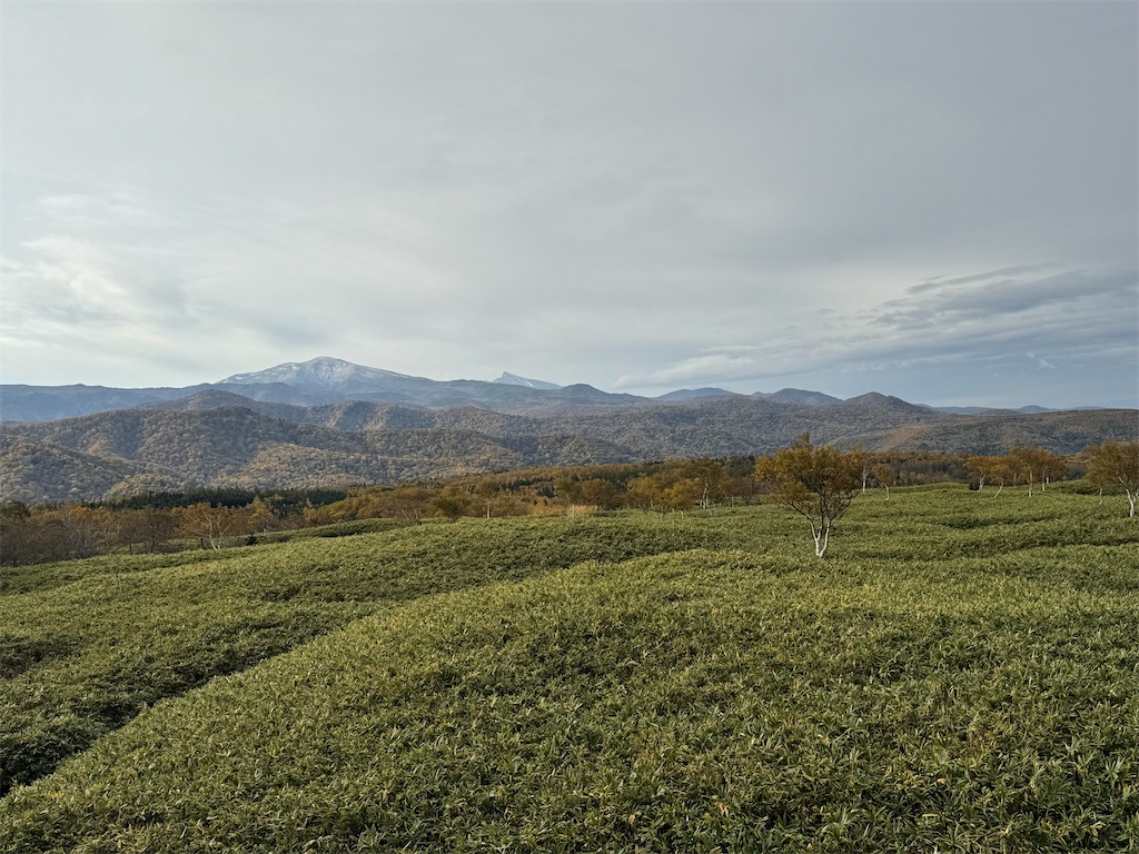 f:id:camper_bakkasu:20251101095457j:image f:id:camper_bakkasu:20251101095457j:image