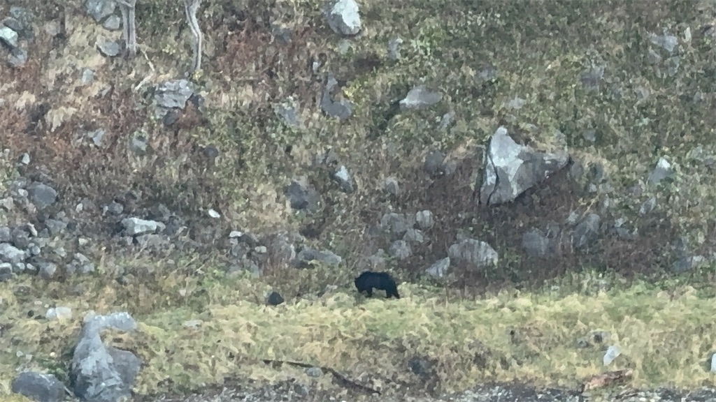 f:id:camper_bakkasu:20251101095514j:image f:id:camper_bakkasu:20251101095514j:image