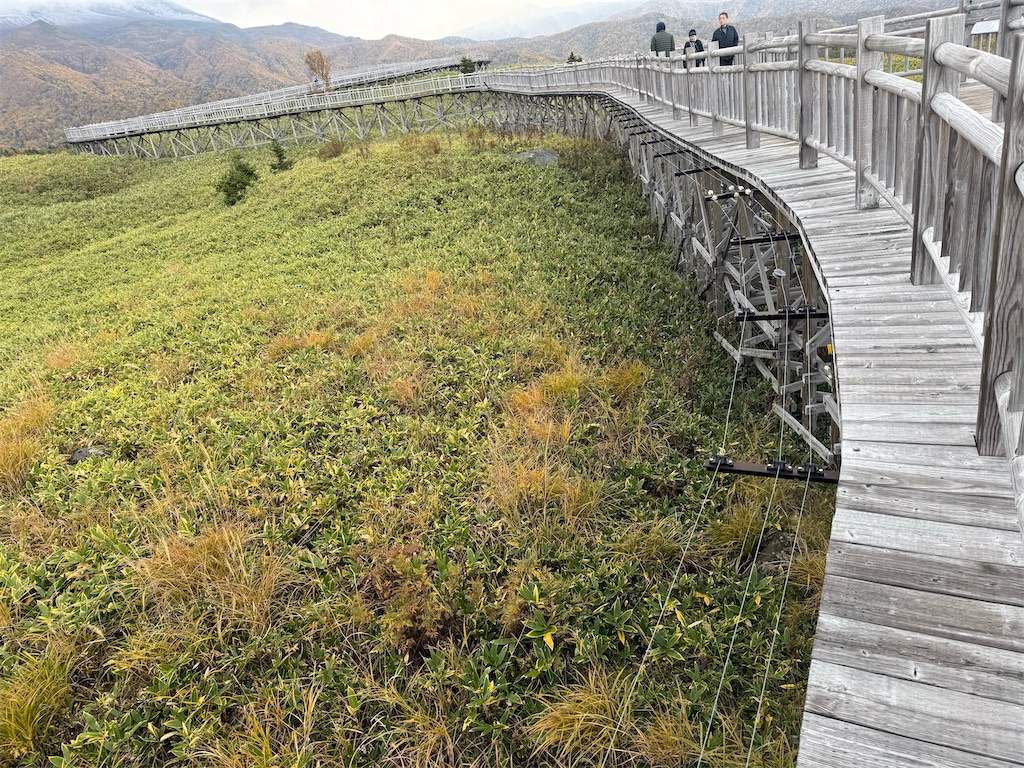 f:id:camper_bakkasu:20251101095522j:image f:id:camper_bakkasu:20251101095522j:image