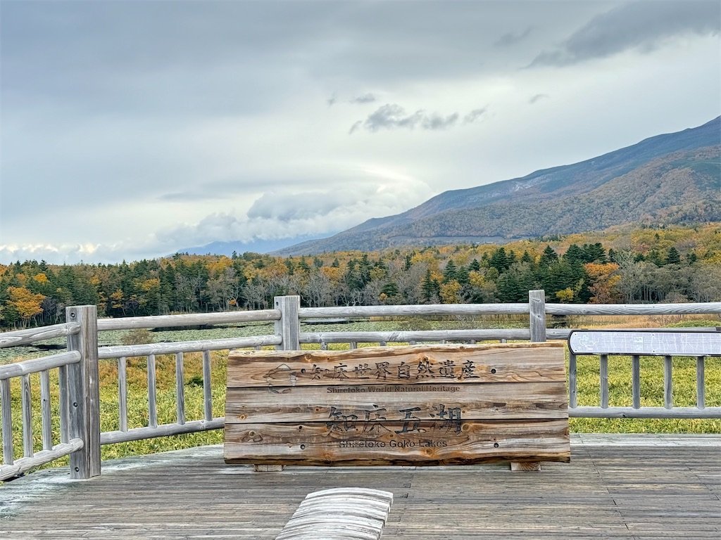 f:id:camper_bakkasu:20251101095532j:image f:id:camper_bakkasu:20251101095532j:image