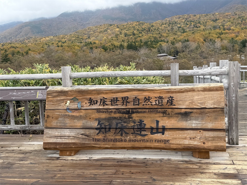 f:id:camper_bakkasu:20251101095542j:image f:id:camper_bakkasu:20251101095542j:image