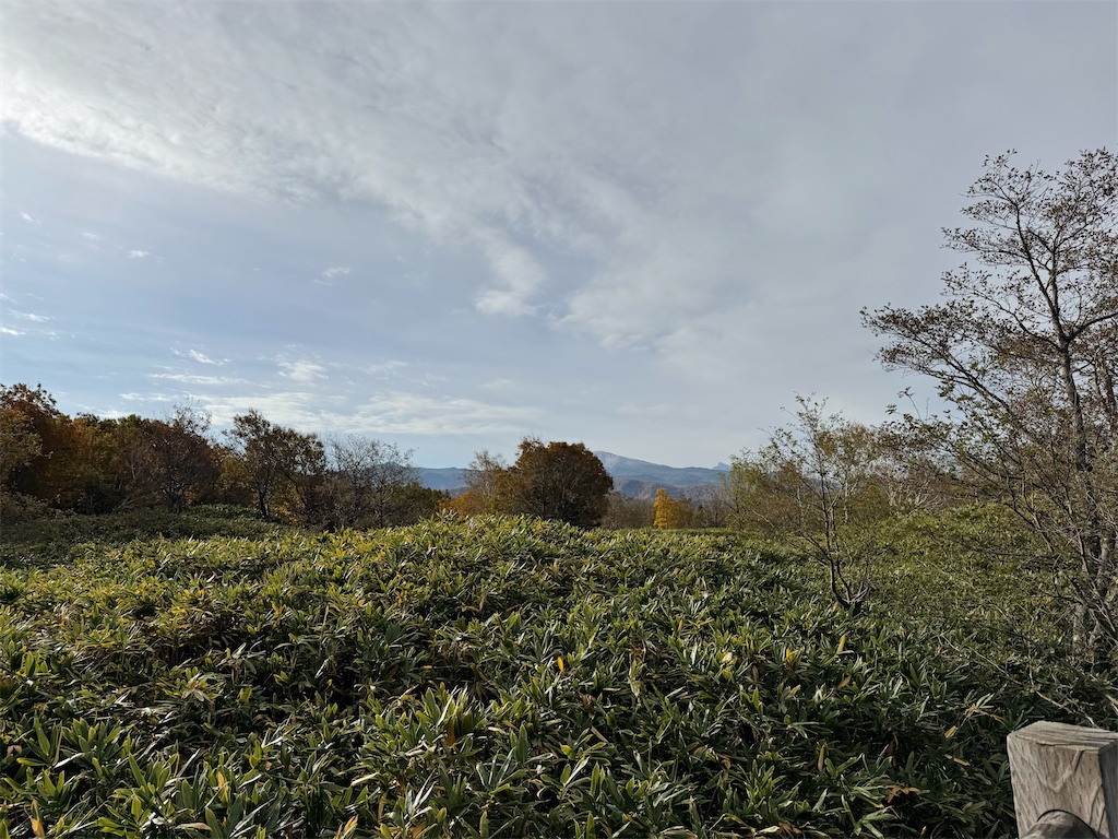 f:id:camper_bakkasu:20251101095556j:image f:id:camper_bakkasu:20251101095556j:image