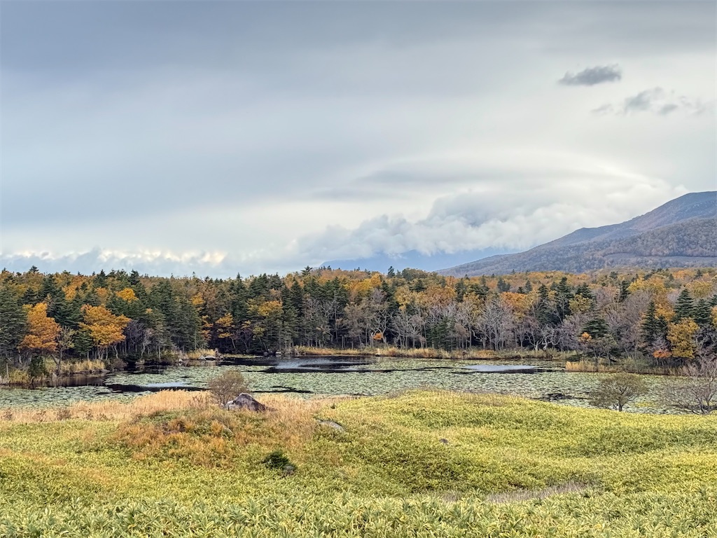 f:id:camper_bakkasu:20251101095611j:image f:id:camper_bakkasu:20251101095611j:image