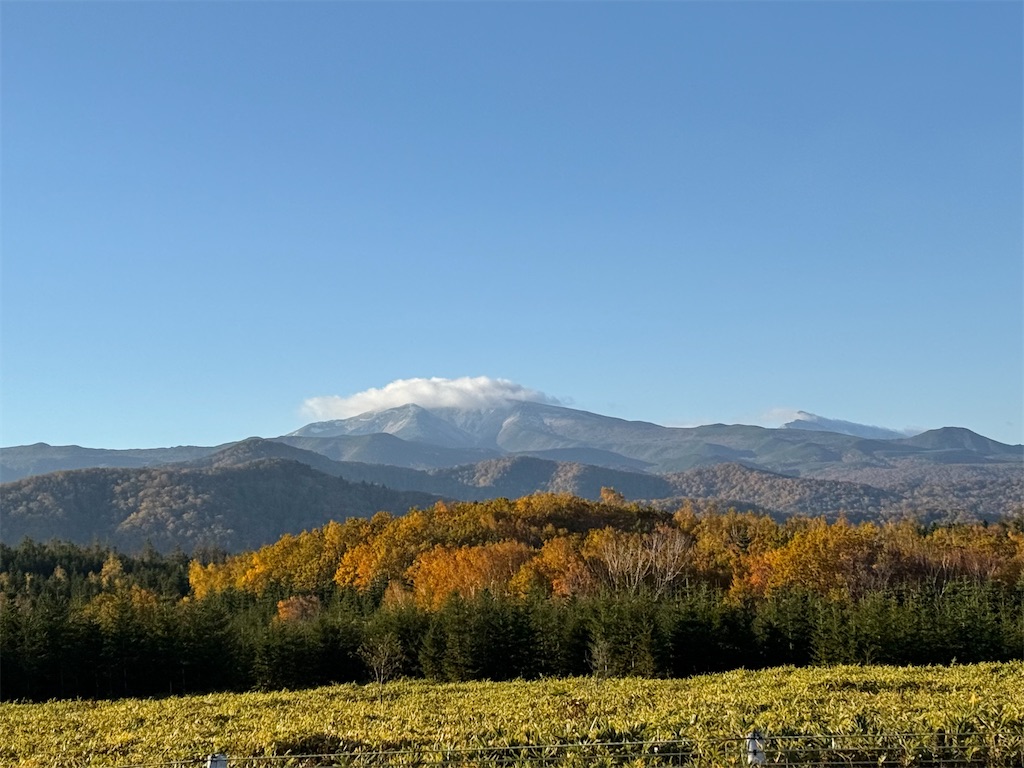 f:id:camper_bakkasu:20251101095617j:image f:id:camper_bakkasu:20251101095617j:image