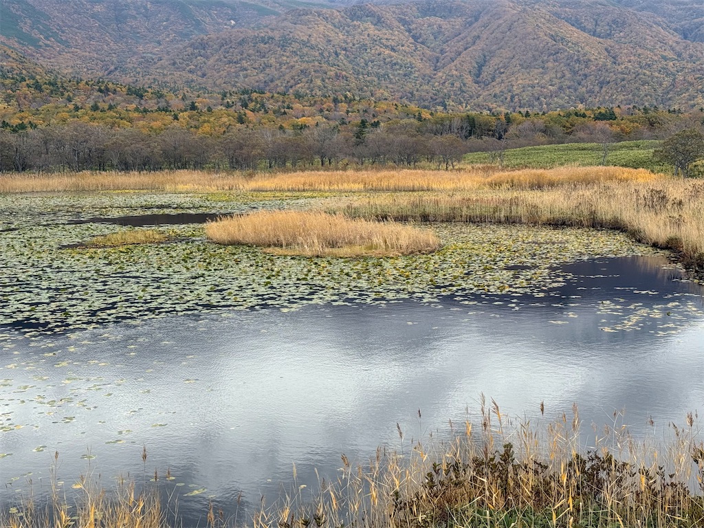 f:id:camper_bakkasu:20251101095632j:image f:id:camper_bakkasu:20251101095632j:image