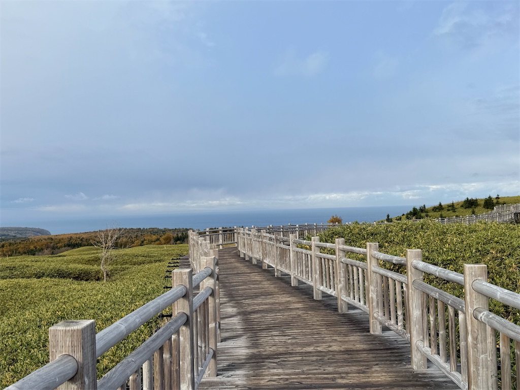 f:id:camper_bakkasu:20251101095640j:image f:id:camper_bakkasu:20251101095640j:image