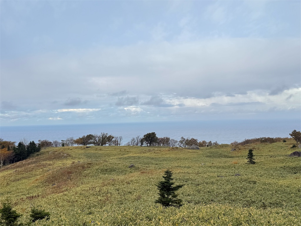 f:id:camper_bakkasu:20251101095646j:image f:id:camper_bakkasu:20251101095646j:image