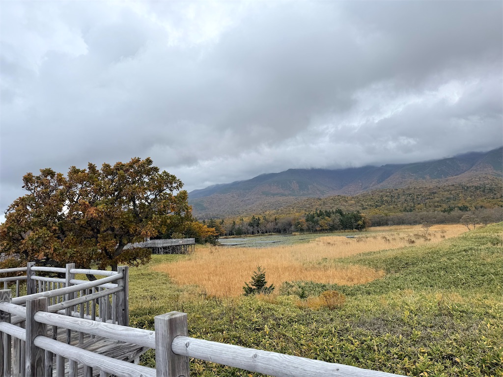 f:id:camper_bakkasu:20251101095720j:image f:id:camper_bakkasu:20251101095720j:image