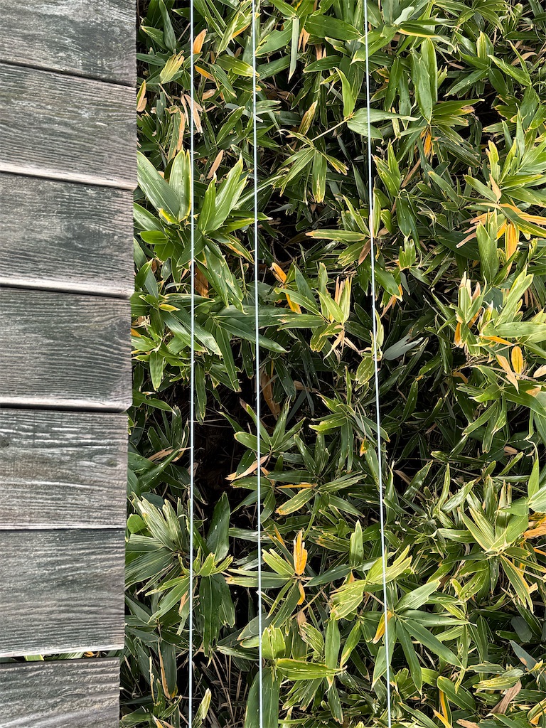 f:id:camper_bakkasu:20251101095744j:image f:id:camper_bakkasu:20251101095744j:image