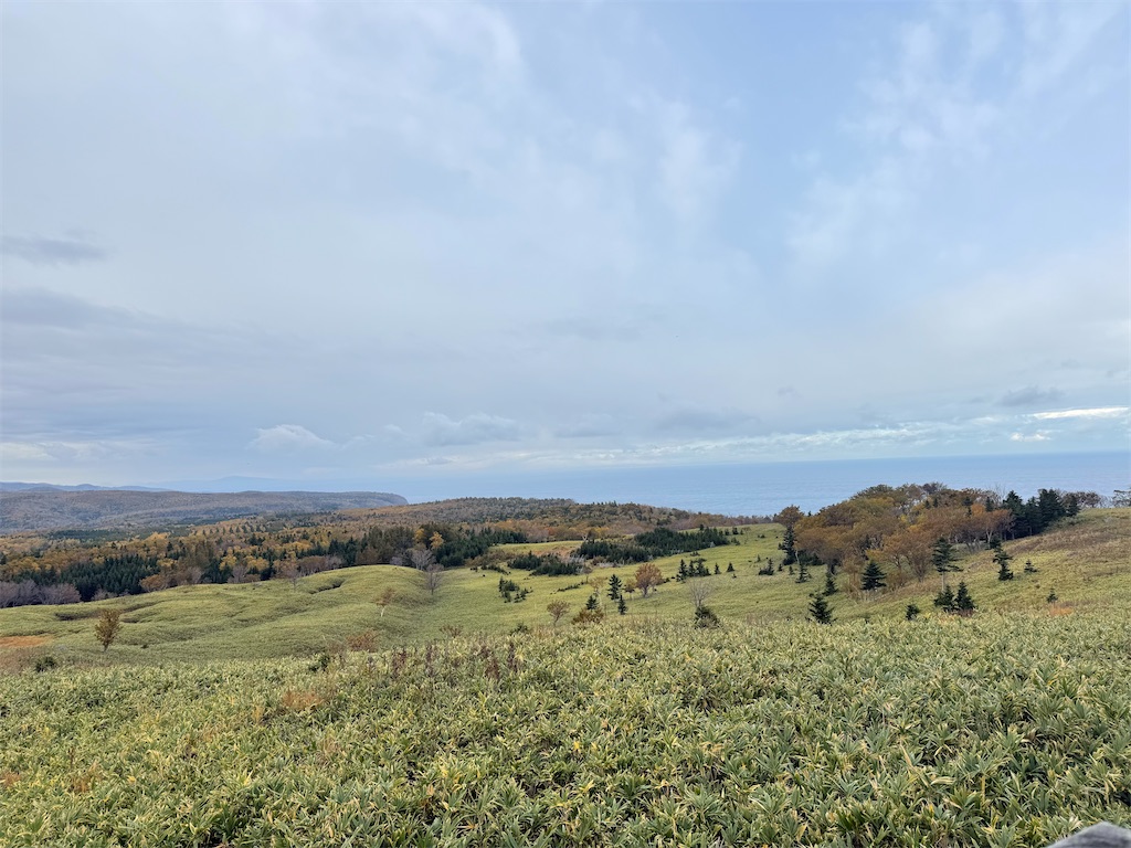 f:id:camper_bakkasu:20251101095748j:image f:id:camper_bakkasu:20251101095748j:image