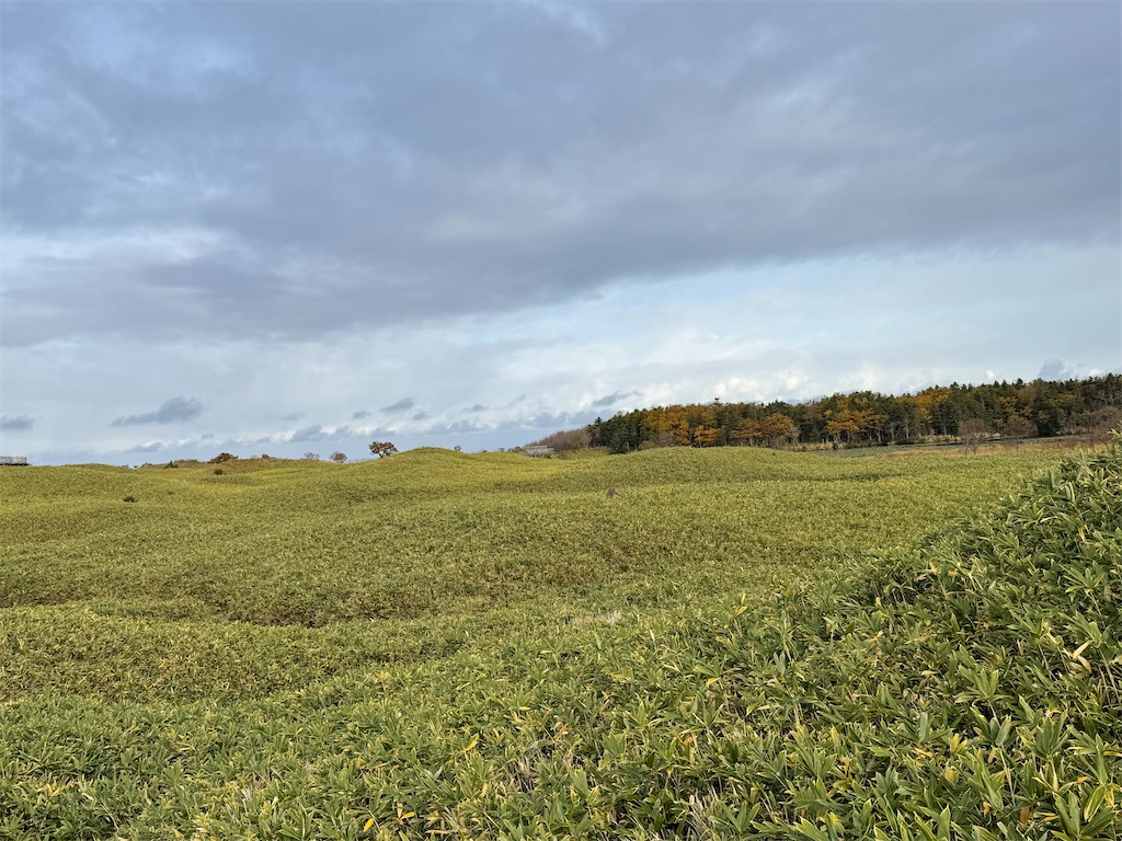 f:id:camper_bakkasu:20251101095753j:image f:id:camper_bakkasu:20251101095753j:image