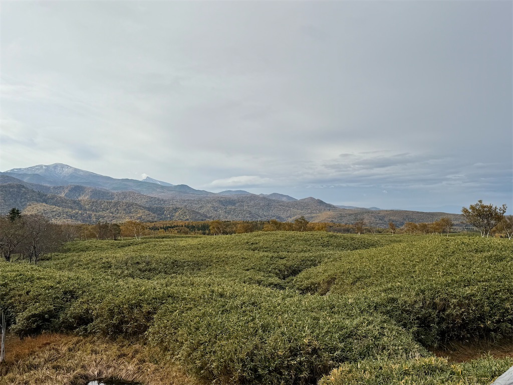 f:id:camper_bakkasu:20251101095800j:image f:id:camper_bakkasu:20251101095800j:image