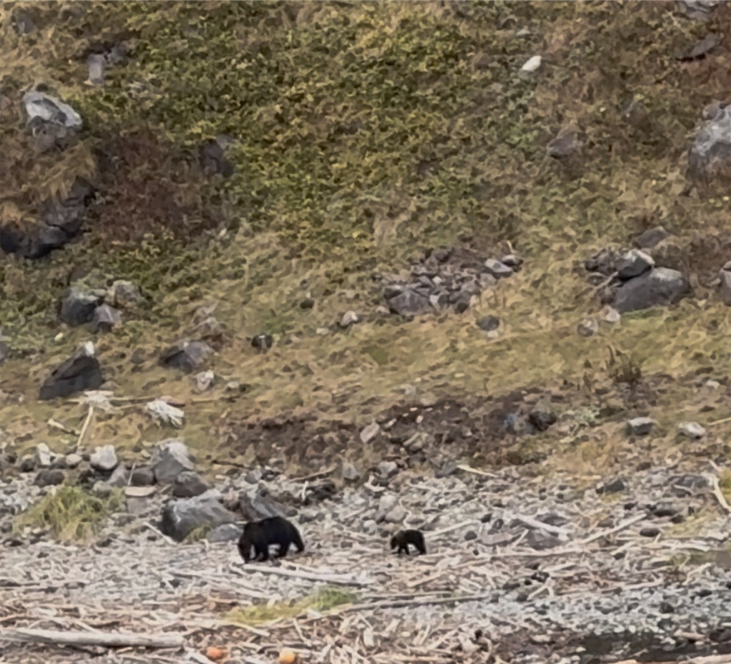 f:id:camper_bakkasu:20251101105921j:image f:id:camper_bakkasu:20251101105921j:image