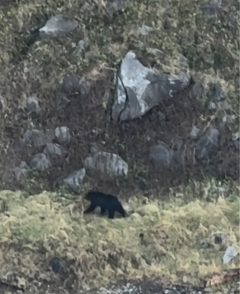 f:id:camper_bakkasu:20251102081010j:image f:id:camper_bakkasu:20251102081010j:image