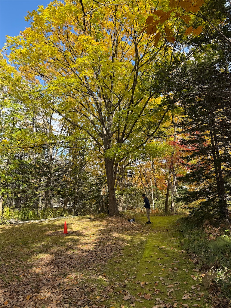 f:id:camper_bakkasu:20251102102301j:image f:id:camper_bakkasu:20251102102301j:image