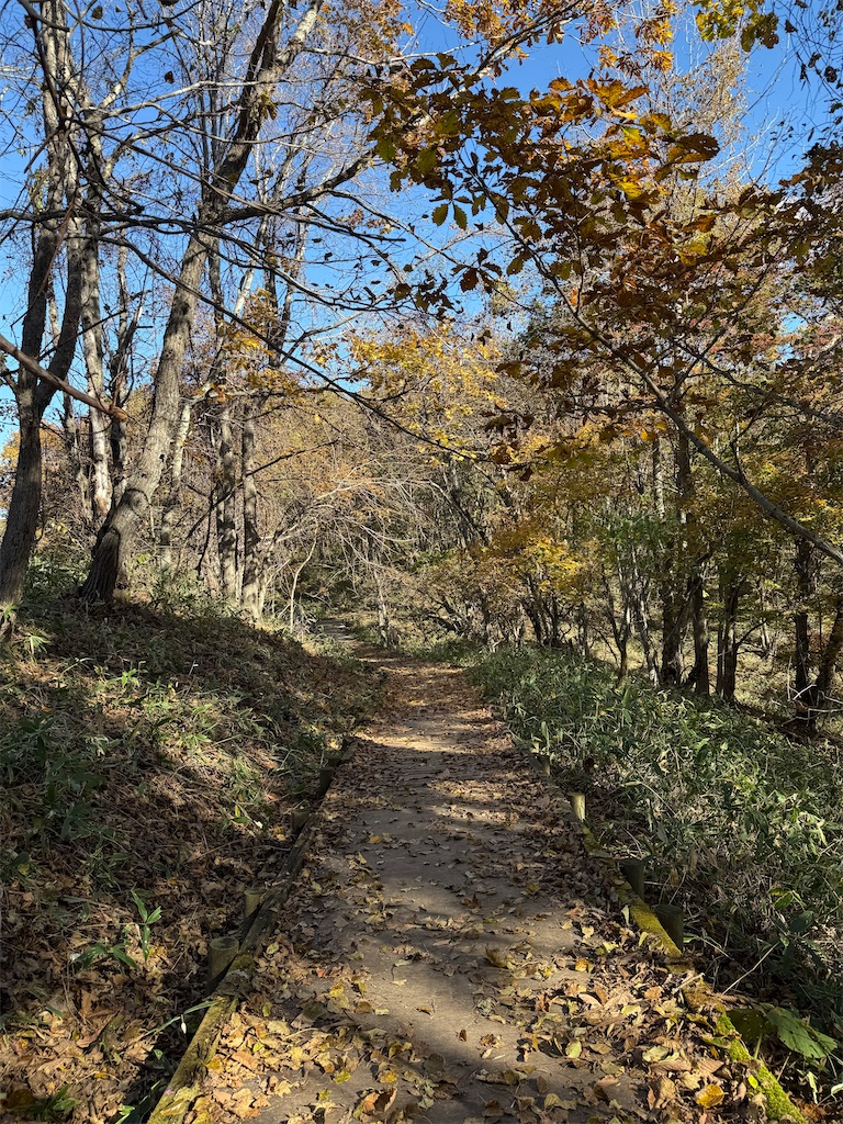 f:id:camper_bakkasu:20251103113721j:image