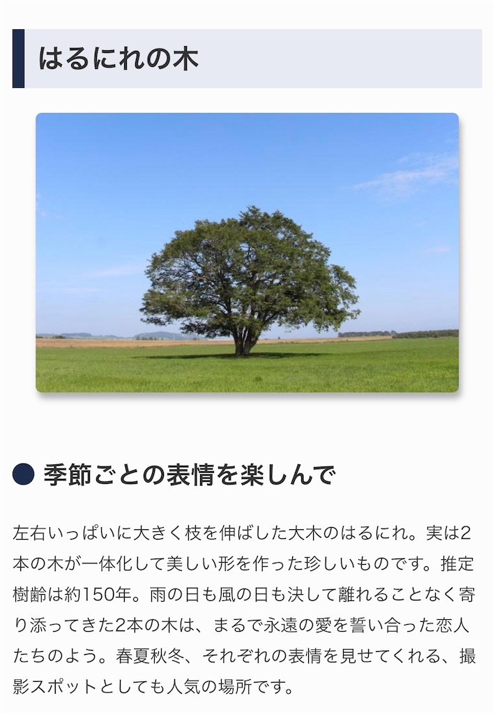 f:id:camper_bakkasu:20251106174331j:image