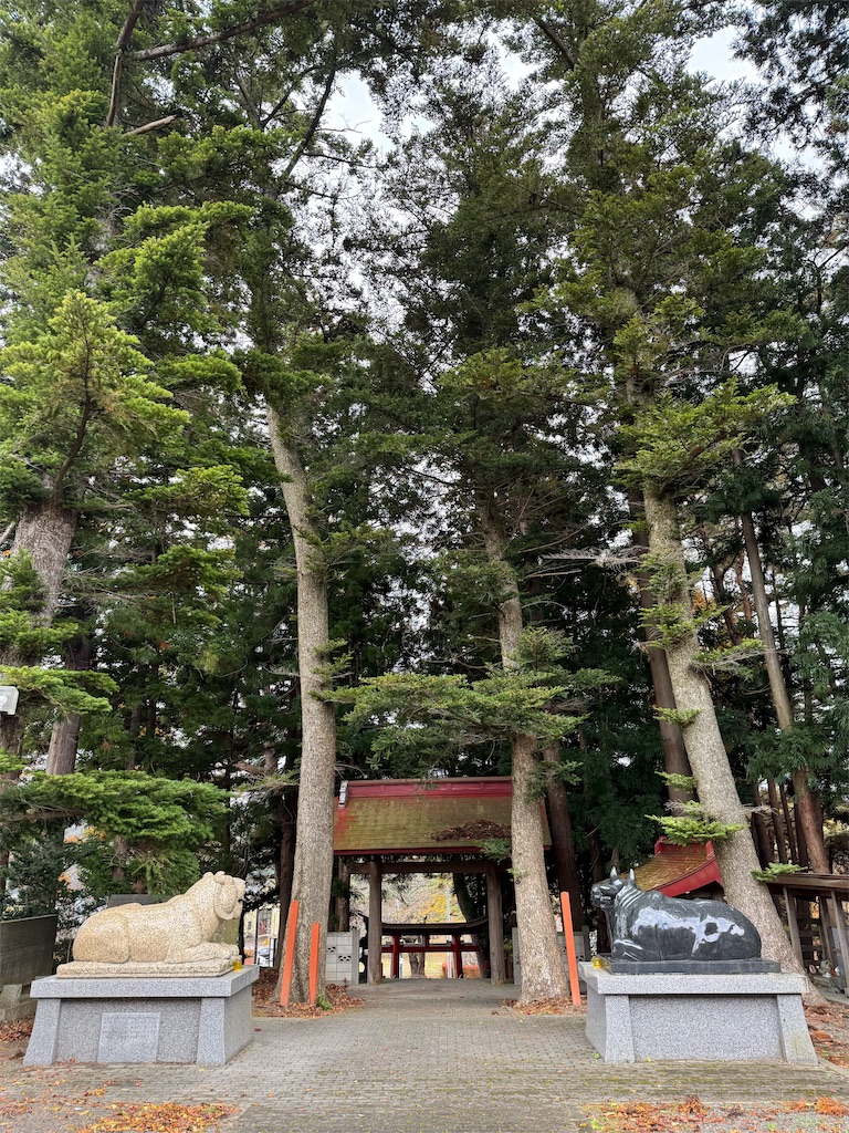 f:id:camper_bakkasu:20251107164914j:image