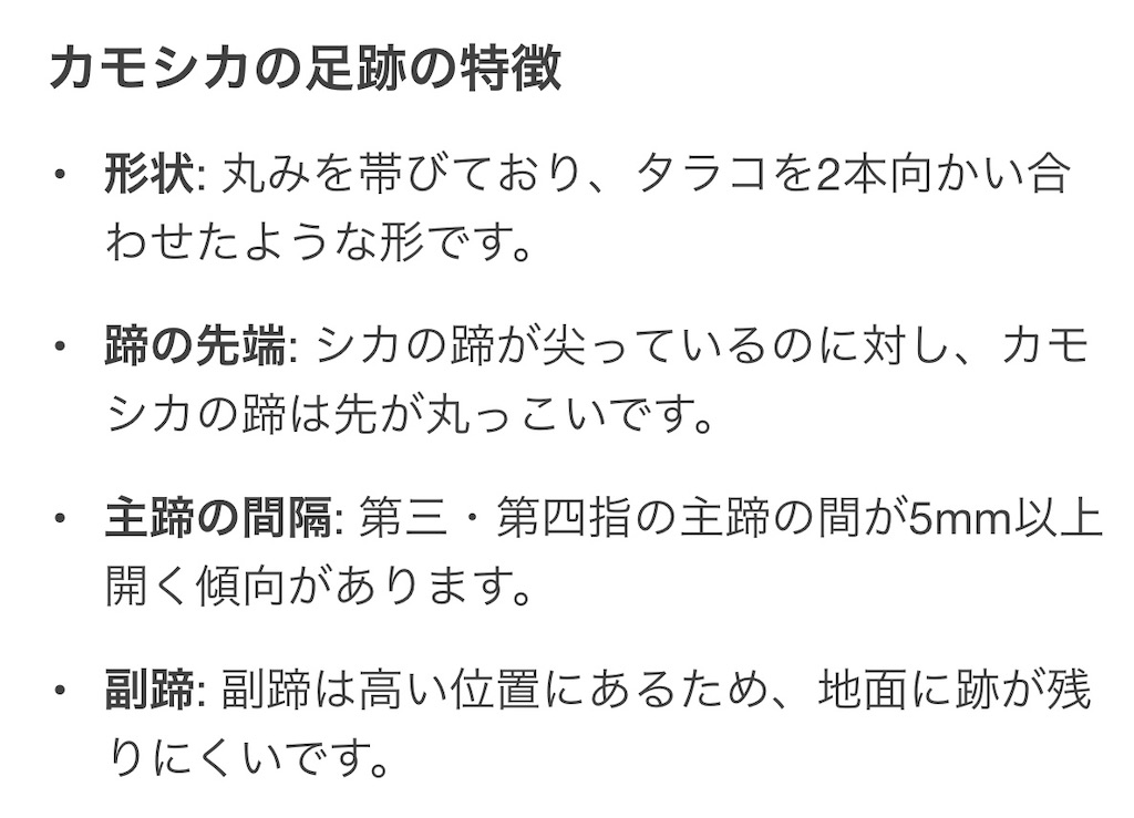 f:id:camper_bakkasu:20251109132904j:image