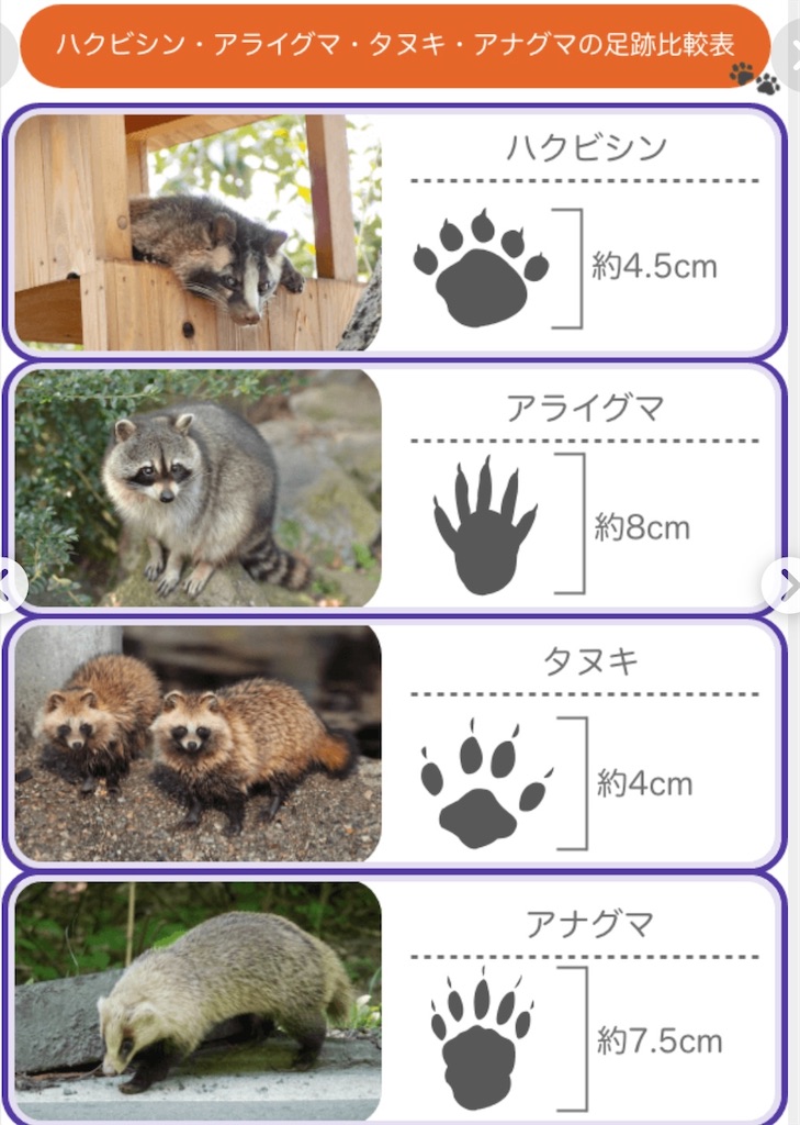 f:id:camper_bakkasu:20251109133436j:image