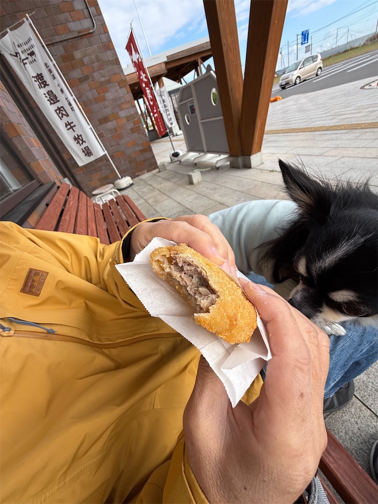 f:id:camper_bakkasu:20251111093844j:image
