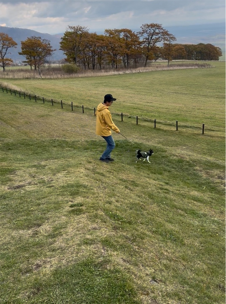 f:id:camper_bakkasu:20251111100418j:image