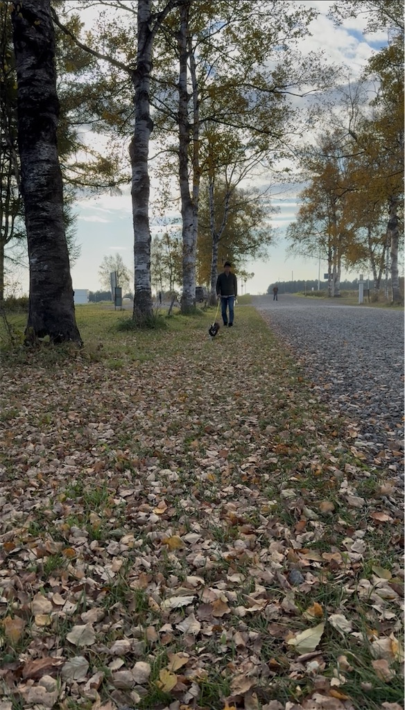 f:id:camper_bakkasu:20251111142448j:image
