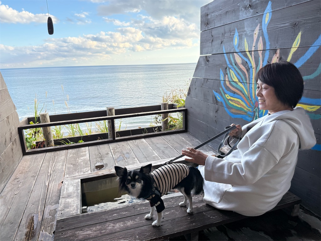 f:id:camper_bakkasu:20251114092849j:image
