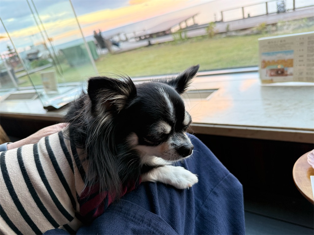 f:id:camper_bakkasu:20251114183921j:image