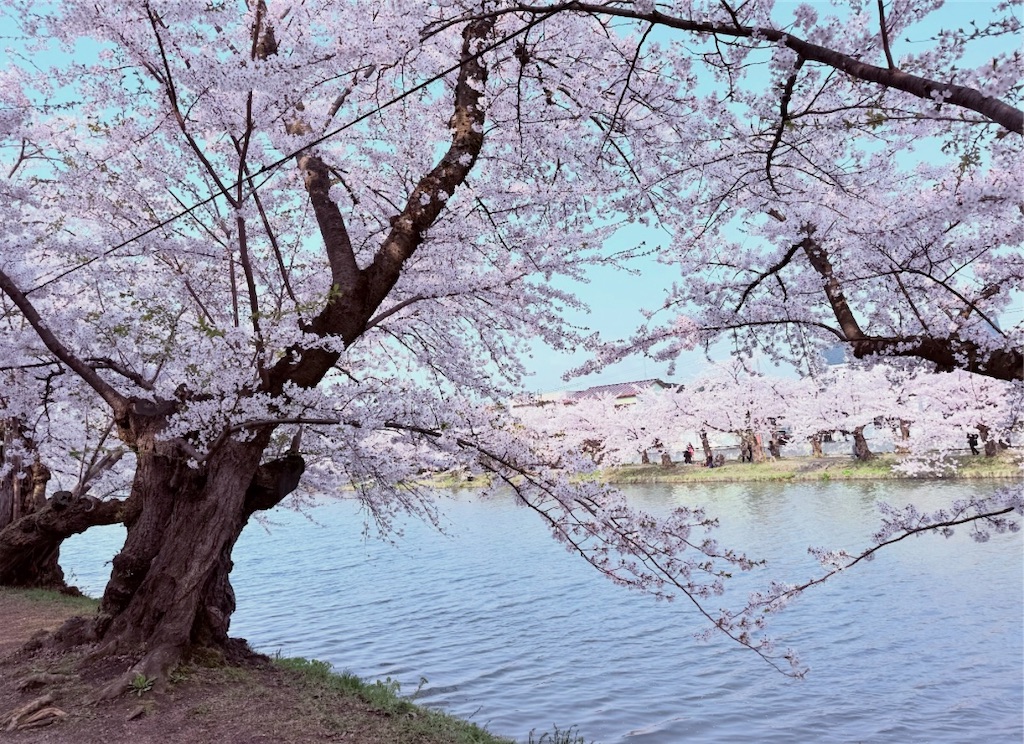 f:id:camper_bakkasu:20251118131114j:image