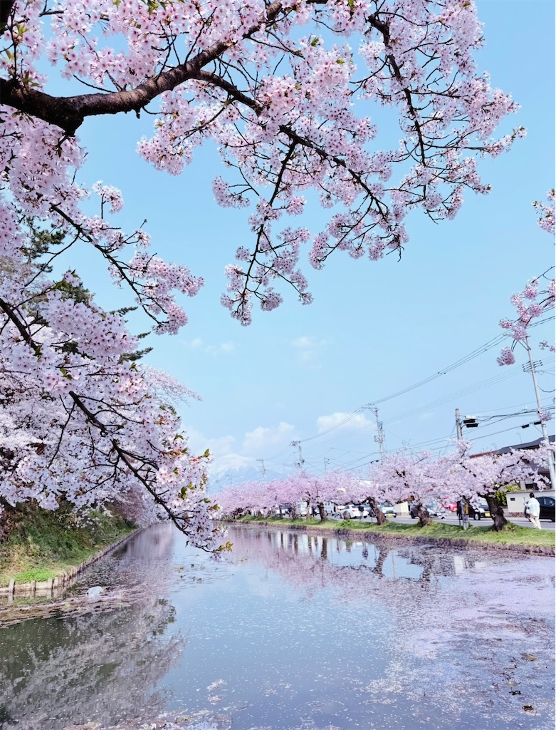 f:id:camper_bakkasu:20251118171454j:image