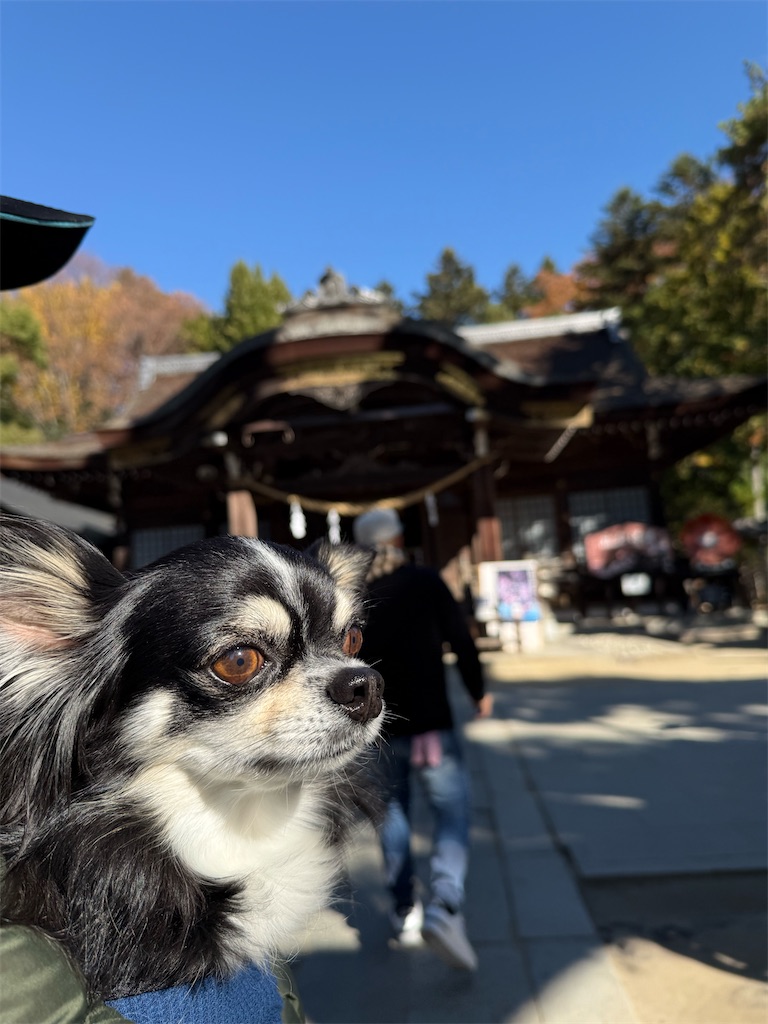 f:id:camper_bakkasu:20251126205040j:image