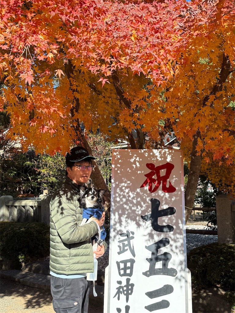 f:id:camper_bakkasu:20251126205045j:image