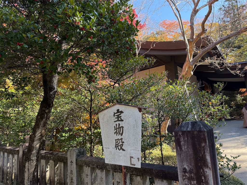 f:id:camper_bakkasu:20251126205101j:image