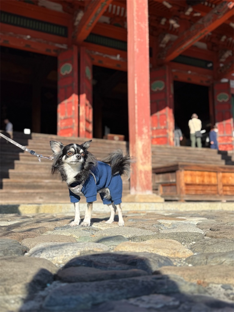 f:id:camper_bakkasu:20251126214057j:image