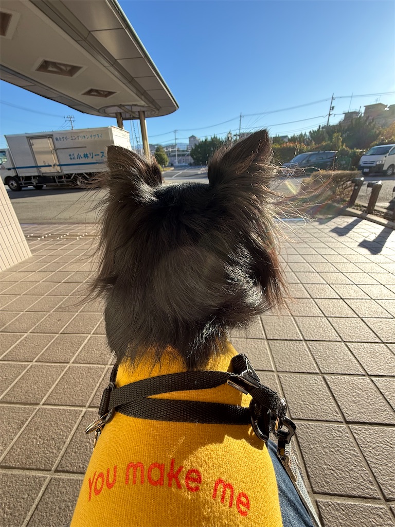 f:id:camper_bakkasu:20251126214543j:image