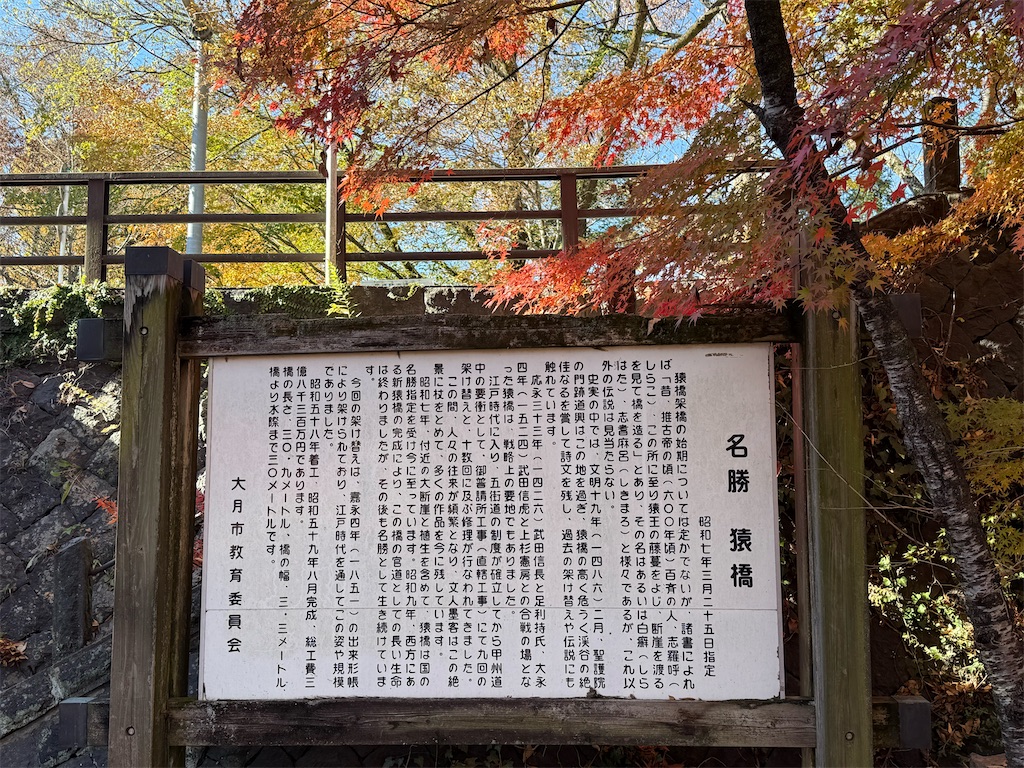 f:id:camper_bakkasu:20251129124734j:image