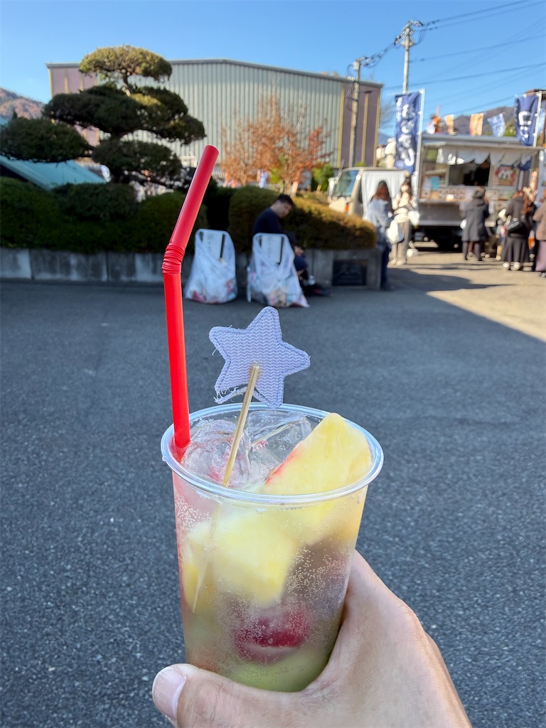 f:id:camper_bakkasu:20251129124904j:image