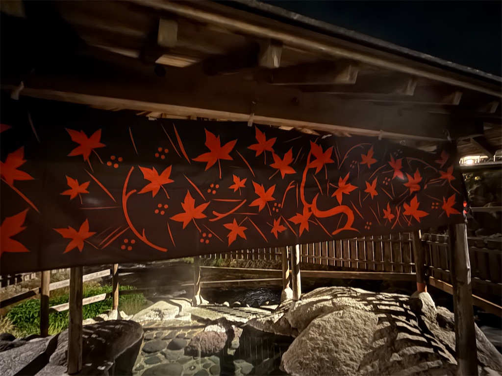 f:id:camper_bakkasu:20251130110928j:image