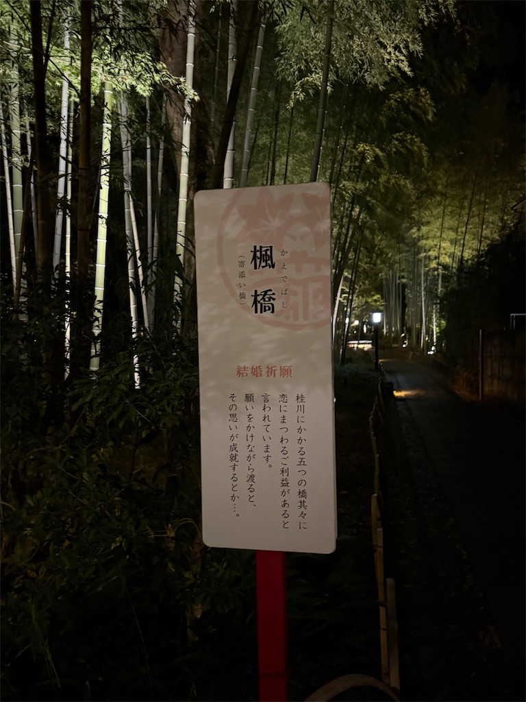 f:id:camper_bakkasu:20251130111033j:image