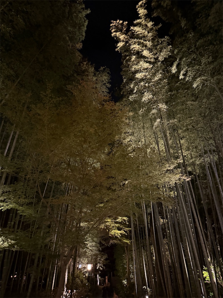 f:id:camper_bakkasu:20251130111103j:image