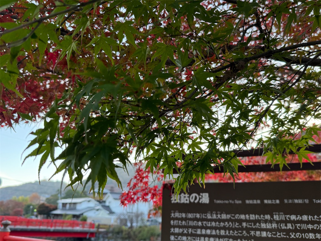 f:id:camper_bakkasu:20251130111200j:image