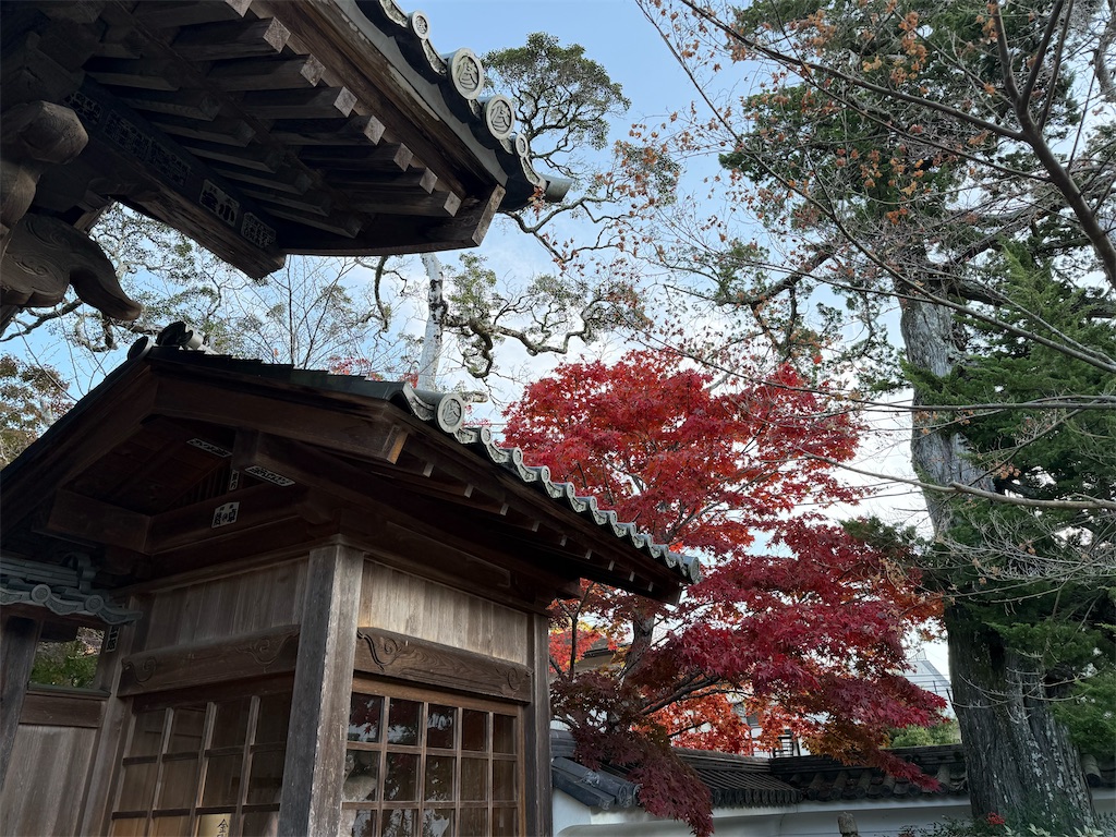f:id:camper_bakkasu:20251130111233j:image
